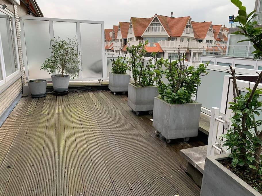Zoute Penthouse Apartment Кноке-Хайст Екстериор снимка
